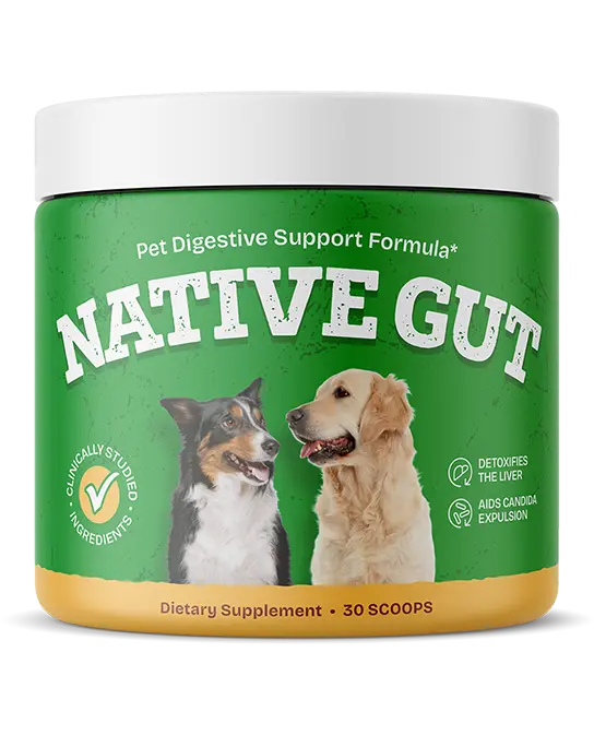 nativegut nativegut